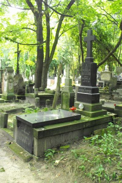 Zdjęcie grobu Kamilla Scholz (1)