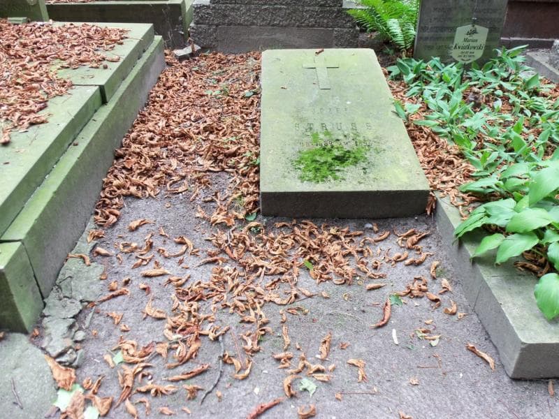 Zdjęcie grobu: Józef Struss