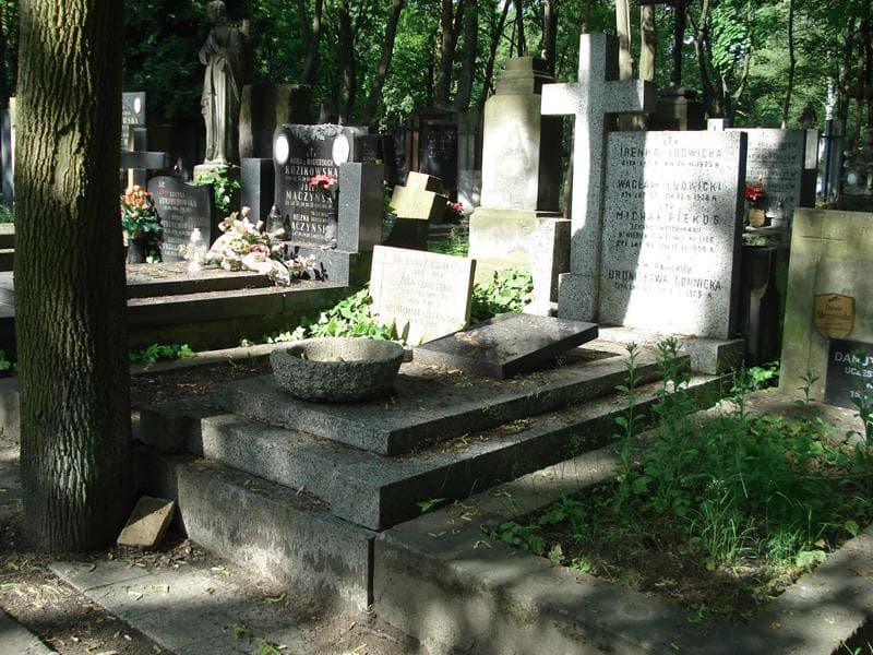 Zdjęcie grobu Stanisław Dejnarowicz (1)