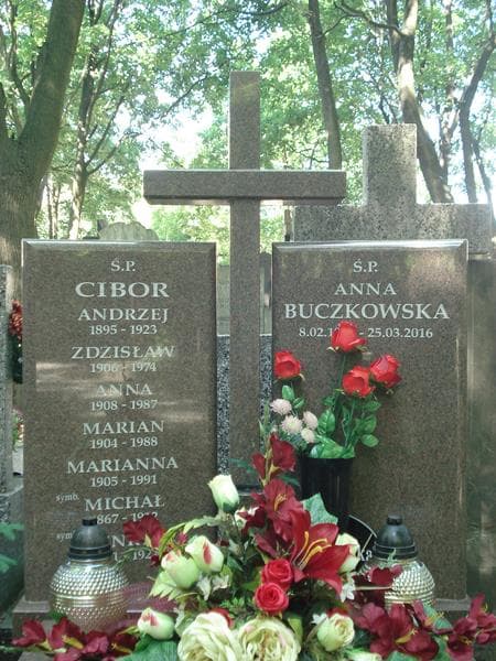 Zdjęcie grobu Andrzej Cobor (1)