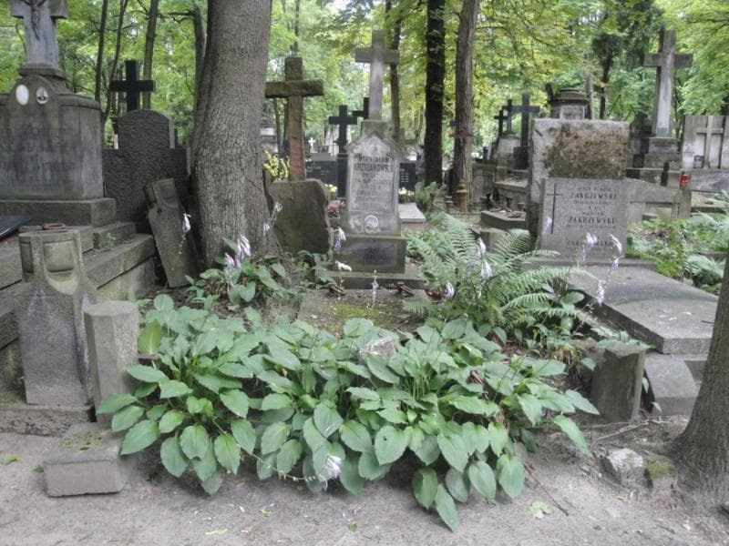 Zdjęcie grobu: Stanisław Krzyżanowski