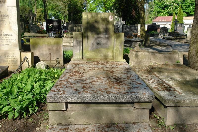 Zdjęcie grobu: Ryszard Stefan Górnicki