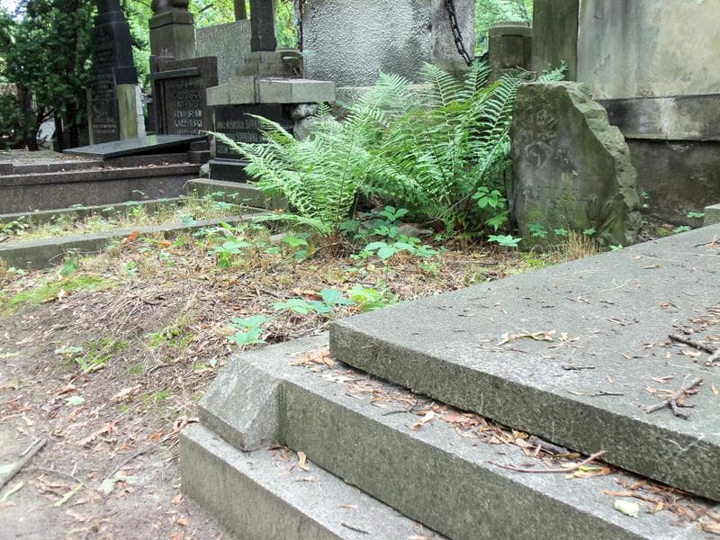 Zdjęcie grobu Janina Cybulska (1)