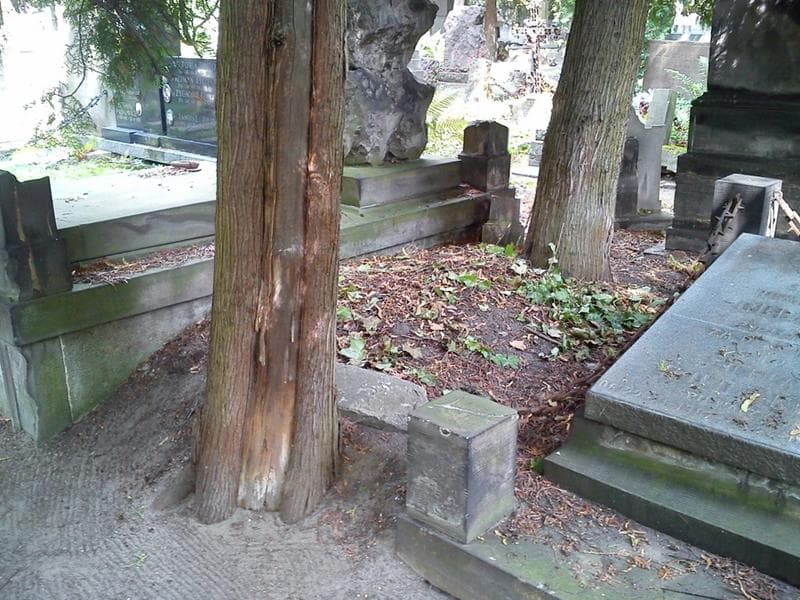 Zdjęcie grobu Pole Grobowe (1)