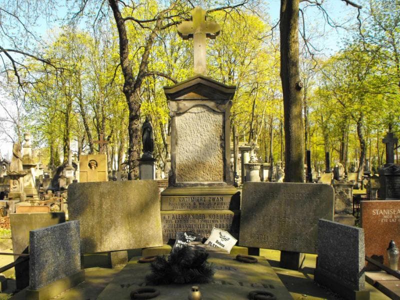 Zdjęcie grobu Karol Lechowicz (1)