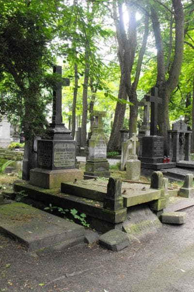 Zdjęcie grobu Celestyna Warawska (1)