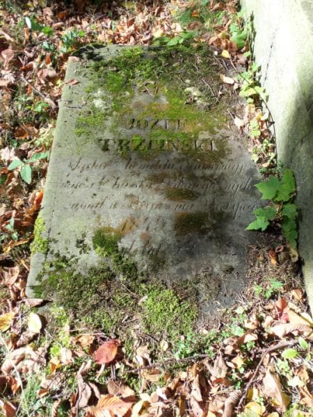 Zdjęcie grobu Józef Trzciński (1)