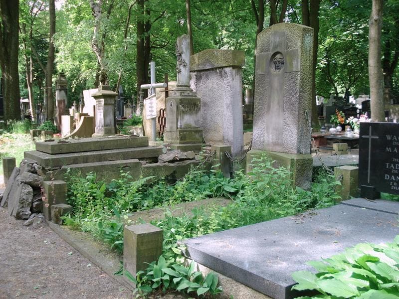Zdjęcie grobu: Aurelia Nast
