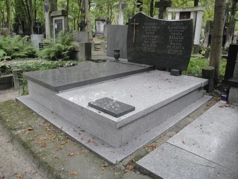 Zdjęcie grobu Wacław Plichta (1)