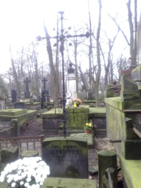 Zdjęcie grobu Józef Leskiewicz (1)