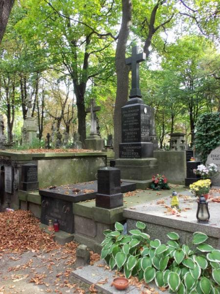 Zdjęcie grobu Emilja Pogodzińska (1)