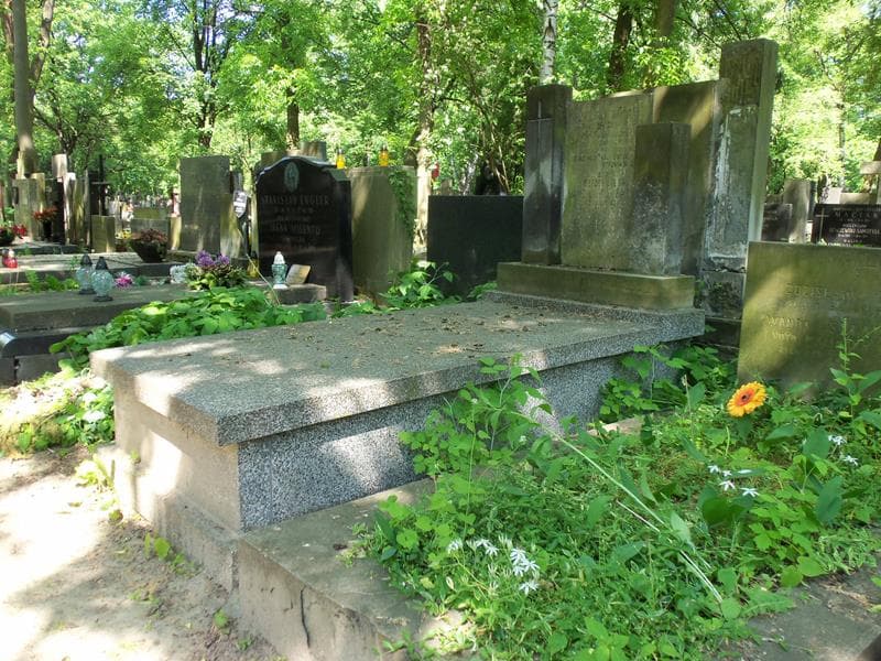 Zdjęcie grobu Franciszek Gołąbek (1)