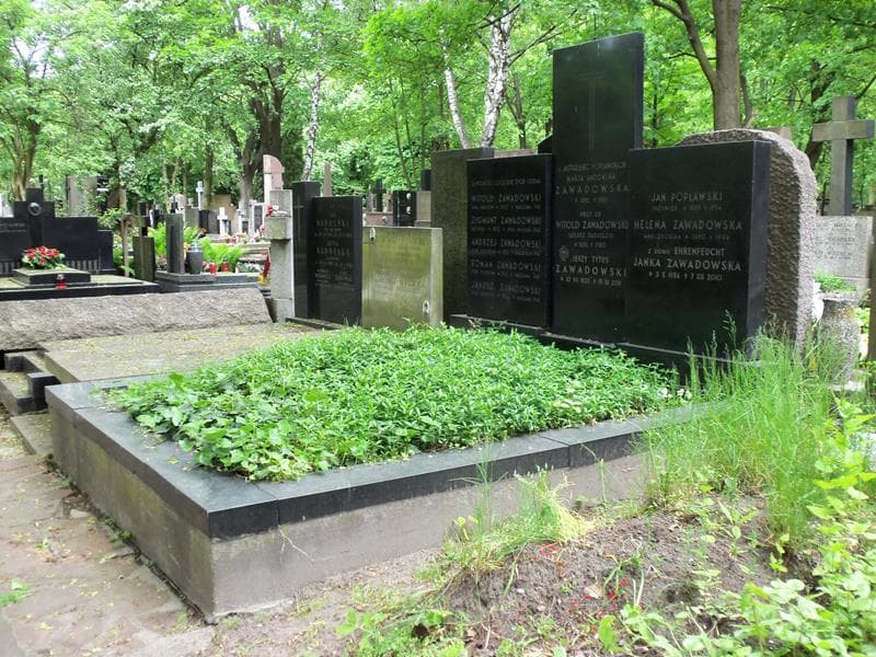 Zdjęcie grobu Zygmunt Zawadowski (1)