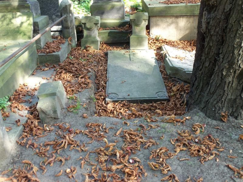 Zdjęcie grobu: Józefa Dłużniakiewicz