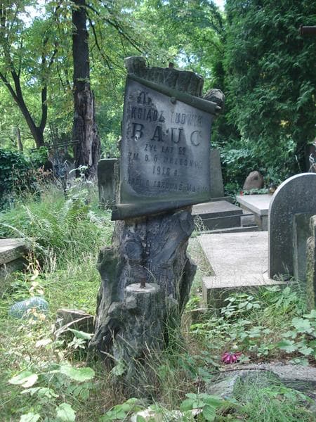 Zdjęcie grobu Ludwik Bauc (1)