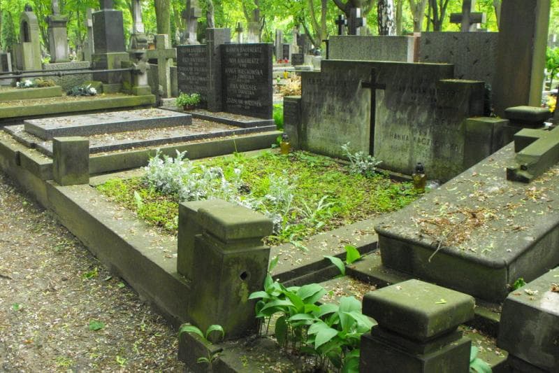 Zdjęcie grobu Zygmunt Żółciński (1)
