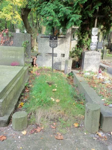 Zdjęcie grobu: Zofia Budkiewiczowa