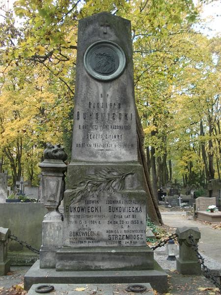 Zdjęcie grobu Henryk Podczaski (2)