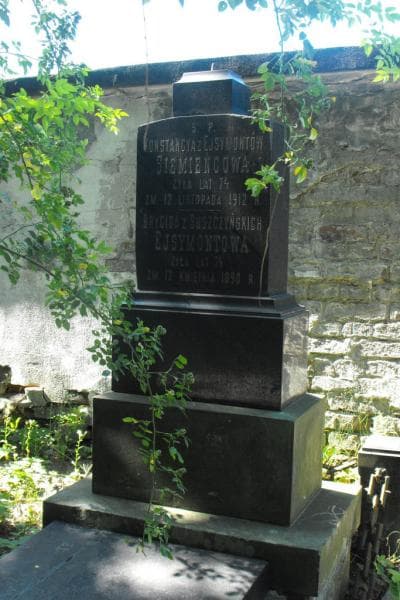 Zdjęcie grobu Konstancya Siemieńcowa (2)
