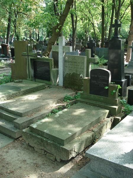 Zdjęcie grobu Karol Turczyński (1)
