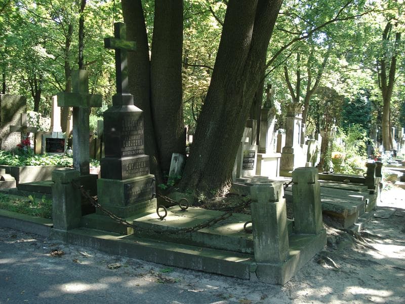 Zdjęcie grobu Zygmunt Chojecki (1)