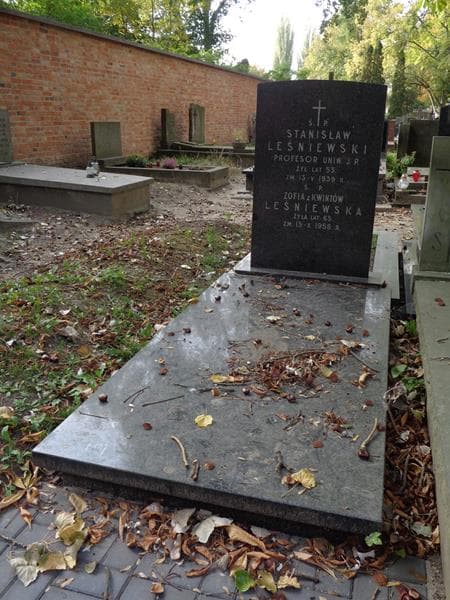 Zdjęcie grobu Zofia Leśniewska (1)
