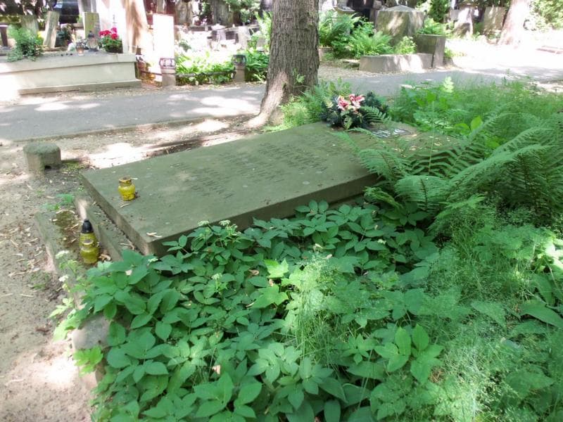 Zdjęcie grobu Alicja Bieńkowska (2)