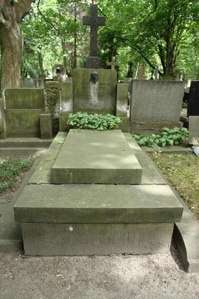 Zdjęcie grobu Klemens Wiktor Oczesalski (1)