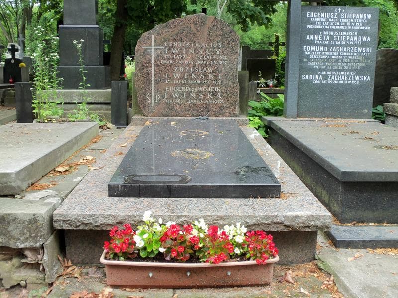 Zdjęcie grobu: Henryk Iwiński