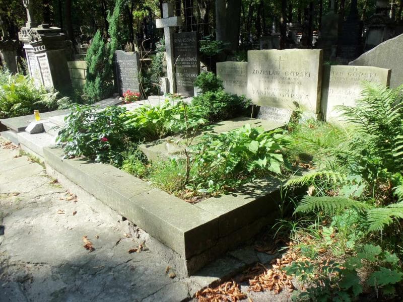Zdjęcie grobu Aleksandra Górska (1)