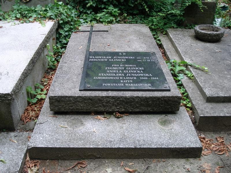 Zdjęcie grobu Stanisława Jungowska (1)