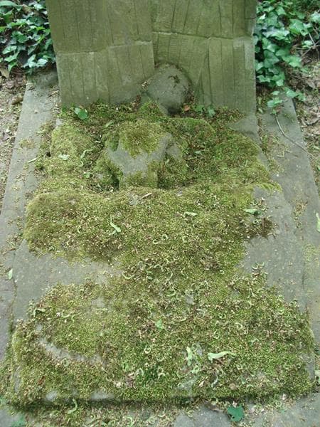 Zdjęcie grobu Ludwik Jabłoński (2)
