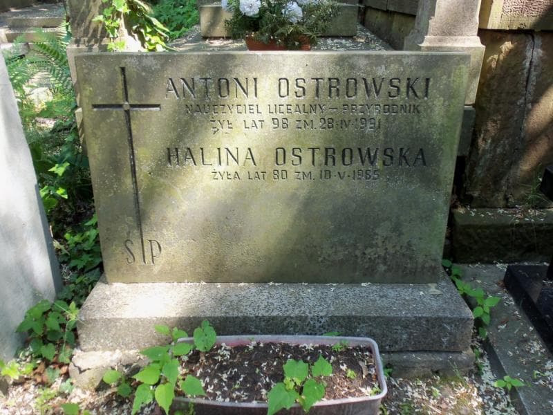 Zdjęcie grobu Julianna Chrościcka (2)