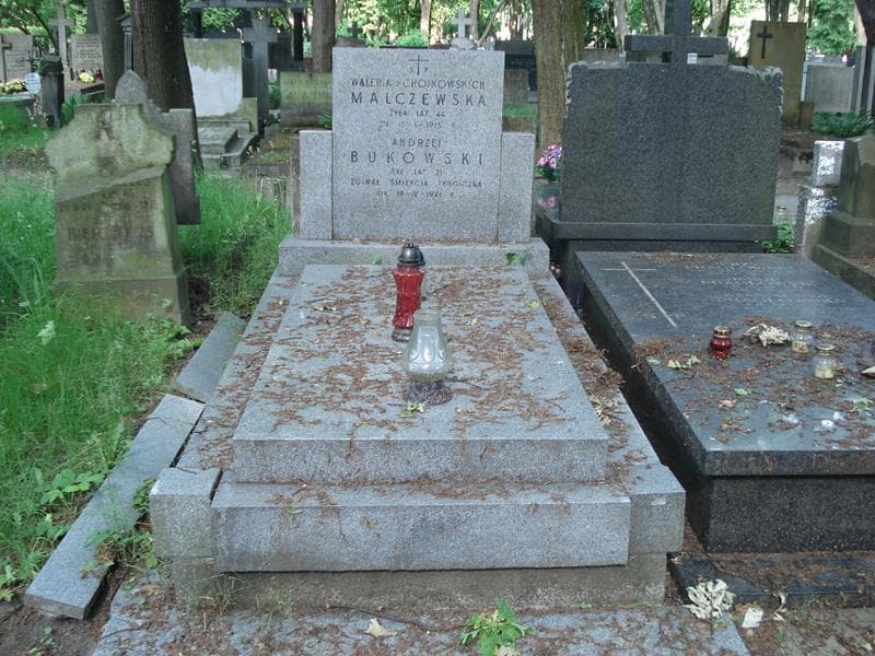 Zdjęcie grobu: Wojciech Bukowski