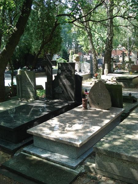 Zdjęcie grobu Mieczysław Bzowski (1)