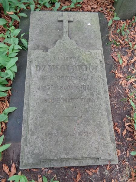 Zdjęcie grobu Juljanna Dziwołowicz (2)