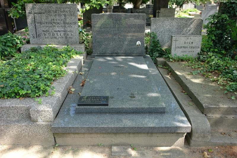 Zdjęcie grobu Franciszek Krzemiński (1)