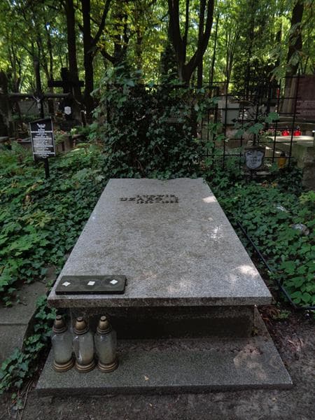 Zdjęcie grobu Ludwik Uzarowicz (1)