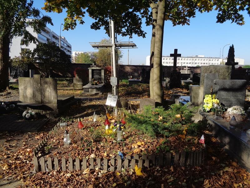 Zdjęcie grobu Stanisław Irek (1)