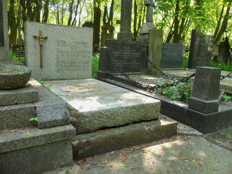 Zdjęcie grobu Alojzy Styczyński (1)