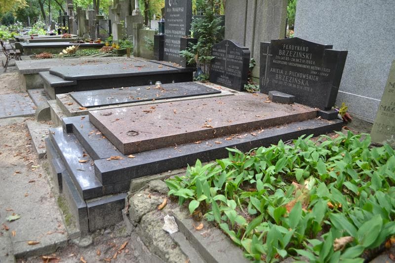 Zdjęcie grobu: Ferdynand Brzeziński