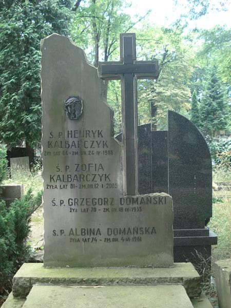 Zdjęcie grobu Albina Domańska (1)