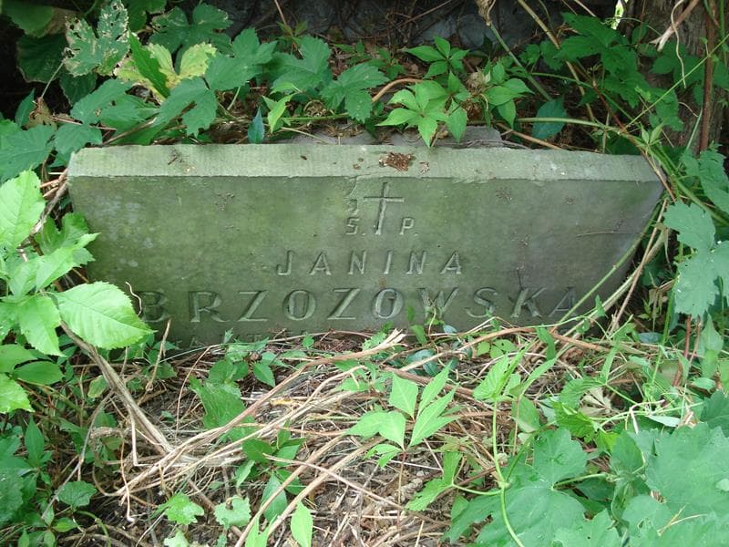 Zdjęcie grobu Janina Brzozowska (2)