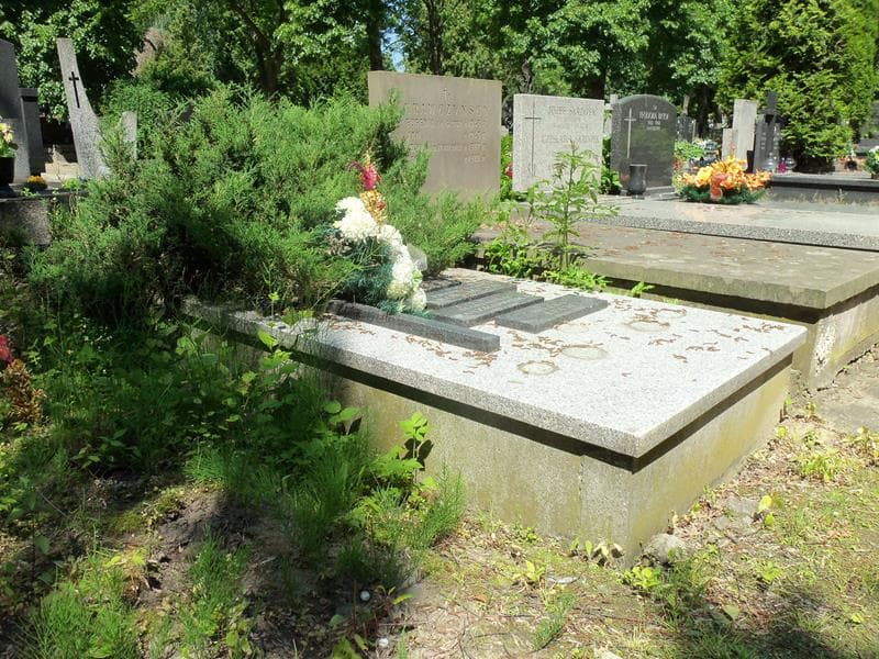 Zdjęcie grobu Helena Lech (1)