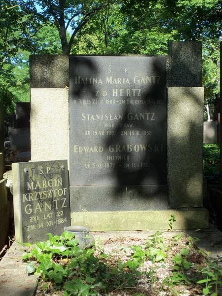 Zdjęcie grobu Marcin Krzysztof (1)