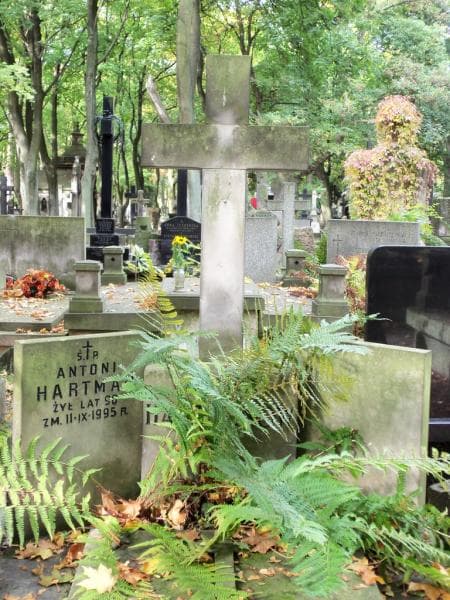 Zdjęcie grobu Antoni Hartman (2)