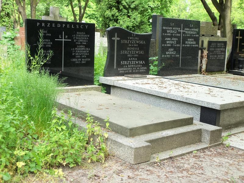 Zdjęcie grobu Jan Przedpełski (1)