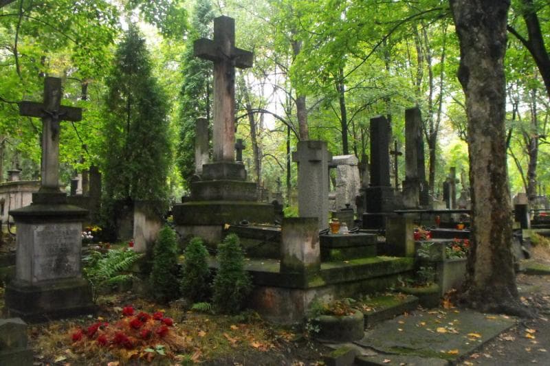 Zdjęcie grobu Ewa Celińska (1)