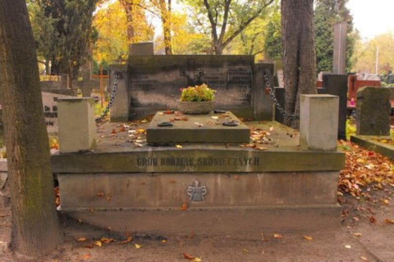 Zdjęcie grobu: Stanisław Dołęga - Skonieczny