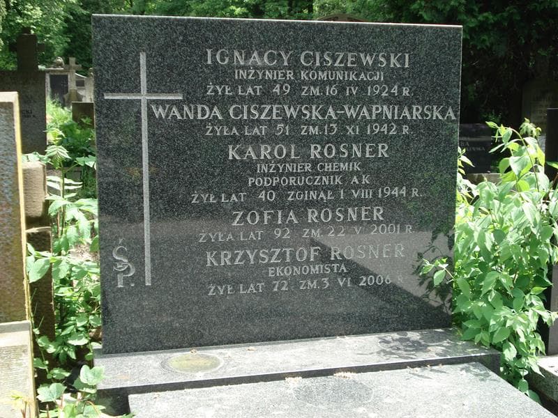 Zdjęcie grobu Ignacy Ciszewski (2)